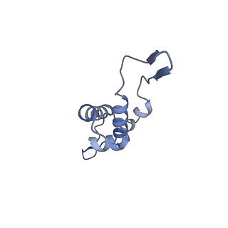 14509_7z4w_h_v1-1
gp6/gp15/gp16 connector complex of bacteriophage SPP1