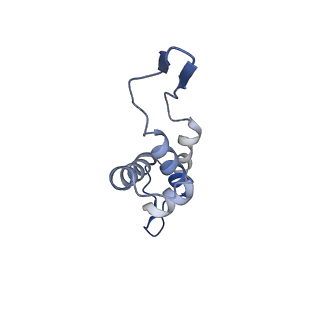 14509_7z4w_i_v1-1
gp6/gp15/gp16 connector complex of bacteriophage SPP1