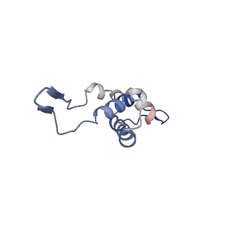14509_7z4w_l_v1-1
gp6/gp15/gp16 connector complex of bacteriophage SPP1