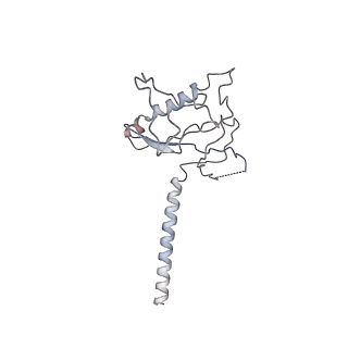 14510_7z4y_A_v1-1
Human NEXT dimer - overall reconstruction of the core complex