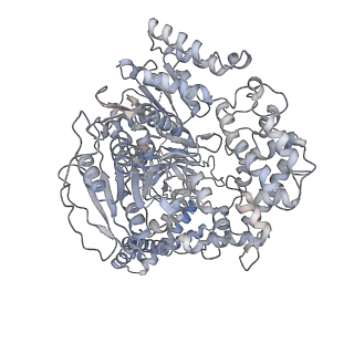 14510_7z4y_B_v1-1
Human NEXT dimer - overall reconstruction of the core complex