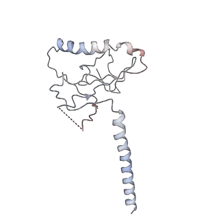 14510_7z4y_C_v1-1
Human NEXT dimer - overall reconstruction of the core complex