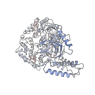 14510_7z4y_D_v1-1
Human NEXT dimer - overall reconstruction of the core complex