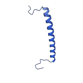 11080_6z5r_0_v1-1
RC-LH1(16) complex from Rhodopseudomonas palustris