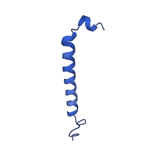 11080_6z5r_1_v1-1
RC-LH1(16) complex from Rhodopseudomonas palustris