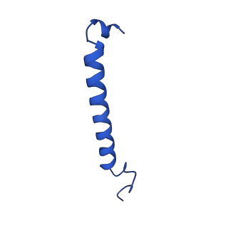 11080_6z5r_5_v1-1
RC-LH1(16) complex from Rhodopseudomonas palustris