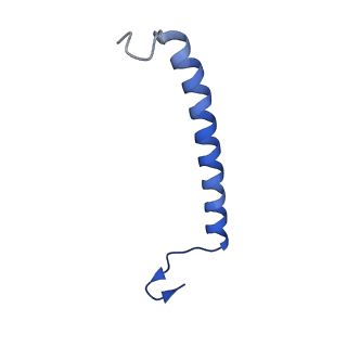 11080_6z5r_B_v1-1
RC-LH1(16) complex from Rhodopseudomonas palustris