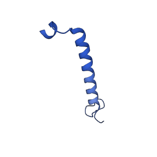 11080_6z5r_E_v1-1
RC-LH1(16) complex from Rhodopseudomonas palustris