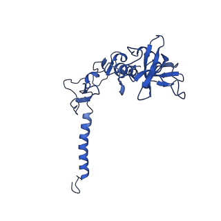 11080_6z5r_H_v1-1
RC-LH1(16) complex from Rhodopseudomonas palustris
