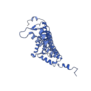 11080_6z5r_L_v1-1
RC-LH1(16) complex from Rhodopseudomonas palustris
