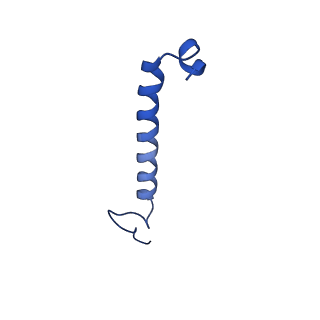 11080_6z5r_T_v1-1
RC-LH1(16) complex from Rhodopseudomonas palustris