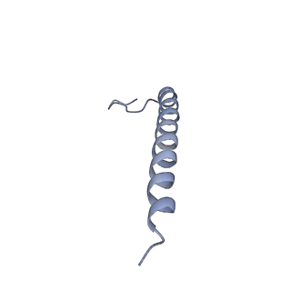 11081_6z5s_4_v1-1
RC-LH1(14)-W complex from Rhodopseudomonas palustris