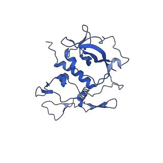 11081_6z5s_H_v1-1
RC-LH1(14)-W complex from Rhodopseudomonas palustris