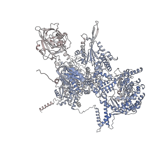6891_5z58_A_v1-2
Cryo-EM structure of a human activated spliceosome (early Bact) at 4.9 angstrom.