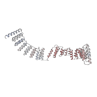 6891_5z58_J_v1-2
Cryo-EM structure of a human activated spliceosome (early Bact) at 4.9 angstrom.