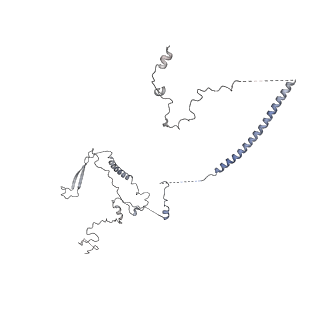 6891_5z58_R_v1-2
Cryo-EM structure of a human activated spliceosome (early Bact) at 4.9 angstrom.