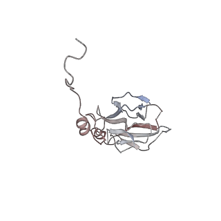 6891_5z58_X_v1-2
Cryo-EM structure of a human activated spliceosome (early Bact) at 4.9 angstrom.