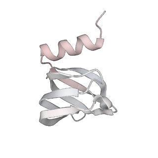 6891_5z58_e_v1-2
Cryo-EM structure of a human activated spliceosome (early Bact) at 4.9 angstrom.