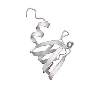 6891_5z58_f_v1-2
Cryo-EM structure of a human activated spliceosome (early Bact) at 4.9 angstrom.