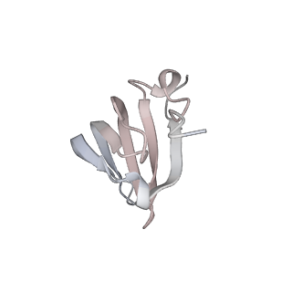 6891_5z58_g_v1-2
Cryo-EM structure of a human activated spliceosome (early Bact) at 4.9 angstrom.