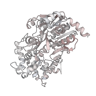 6891_5z58_x_v1-2
Cryo-EM structure of a human activated spliceosome (early Bact) at 4.9 angstrom.