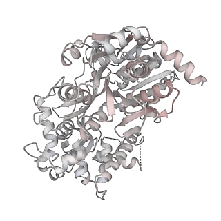 6891_5z58_x_v2-0
Cryo-EM structure of a human activated spliceosome (early Bact) at 4.9 angstrom.