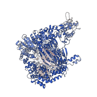 11093_6z6g_A_v1-0
Cryo-EM structure of La Crosse virus polymerase at pre-initiation stage