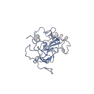 11096_6z6j_LA_v1-0
Cryo-EM structure of yeast Lso2 bound to 80S ribosomes under native condition