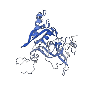 11096_6z6j_LB_v1-0
Cryo-EM structure of yeast Lso2 bound to 80S ribosomes under native condition