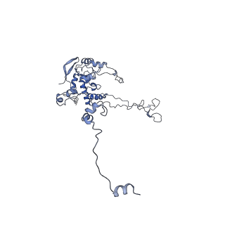 11096_6z6j_LC_v1-0
Cryo-EM structure of yeast Lso2 bound to 80S ribosomes under native condition