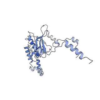 11096_6z6j_LD_v1-0
Cryo-EM structure of yeast Lso2 bound to 80S ribosomes under native condition