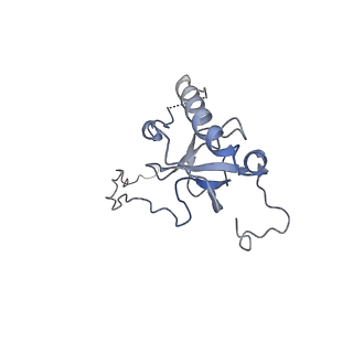 11096_6z6j_LE_v1-0
Cryo-EM structure of yeast Lso2 bound to 80S ribosomes under native condition