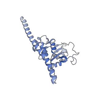 11096_6z6j_LF_v1-0
Cryo-EM structure of yeast Lso2 bound to 80S ribosomes under native condition