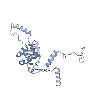 11096_6z6j_LG_v1-0
Cryo-EM structure of yeast Lso2 bound to 80S ribosomes under native condition