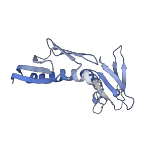 11096_6z6j_LH_v1-0
Cryo-EM structure of yeast Lso2 bound to 80S ribosomes under native condition