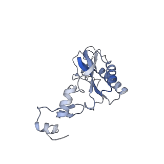 11096_6z6j_LI_v1-0
Cryo-EM structure of yeast Lso2 bound to 80S ribosomes under native condition