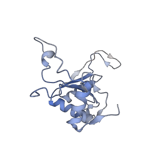 11096_6z6j_LJ_v1-0
Cryo-EM structure of yeast Lso2 bound to 80S ribosomes under native condition