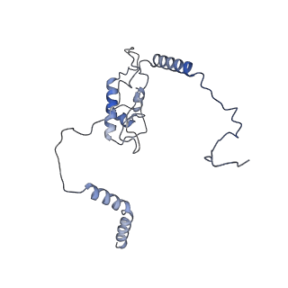 11096_6z6j_LL_v1-0
Cryo-EM structure of yeast Lso2 bound to 80S ribosomes under native condition