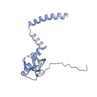 11096_6z6j_LM_v1-0
Cryo-EM structure of yeast Lso2 bound to 80S ribosomes under native condition