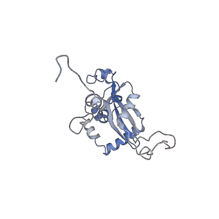 11096_6z6j_LN_v1-0
Cryo-EM structure of yeast Lso2 bound to 80S ribosomes under native condition
