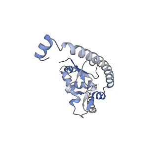11096_6z6j_LO_v1-0
Cryo-EM structure of yeast Lso2 bound to 80S ribosomes under native condition