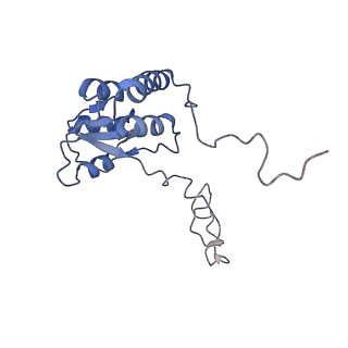 11096_6z6j_LQ_v1-0
Cryo-EM structure of yeast Lso2 bound to 80S ribosomes under native condition