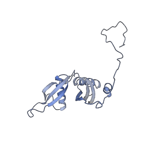 11096_6z6j_LS_v1-0
Cryo-EM structure of yeast Lso2 bound to 80S ribosomes under native condition