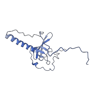 11096_6z6j_LT_v1-0
Cryo-EM structure of yeast Lso2 bound to 80S ribosomes under native condition