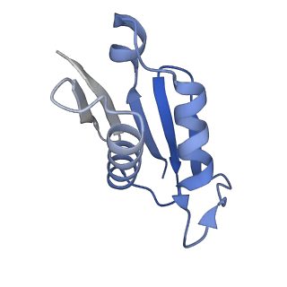 11096_6z6j_LU_v1-0
Cryo-EM structure of yeast Lso2 bound to 80S ribosomes under native condition