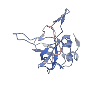 11096_6z6j_LV_v1-0
Cryo-EM structure of yeast Lso2 bound to 80S ribosomes under native condition