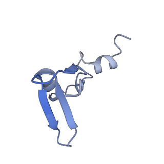 11096_6z6j_LW_v1-0
Cryo-EM structure of yeast Lso2 bound to 80S ribosomes under native condition