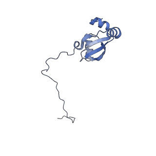 11096_6z6j_LX_v1-0
Cryo-EM structure of yeast Lso2 bound to 80S ribosomes under native condition