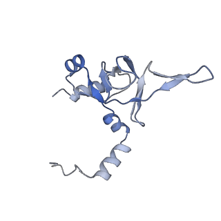 11096_6z6j_LY_v1-0
Cryo-EM structure of yeast Lso2 bound to 80S ribosomes under native condition
