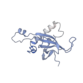 11096_6z6j_LZ_v1-0
Cryo-EM structure of yeast Lso2 bound to 80S ribosomes under native condition